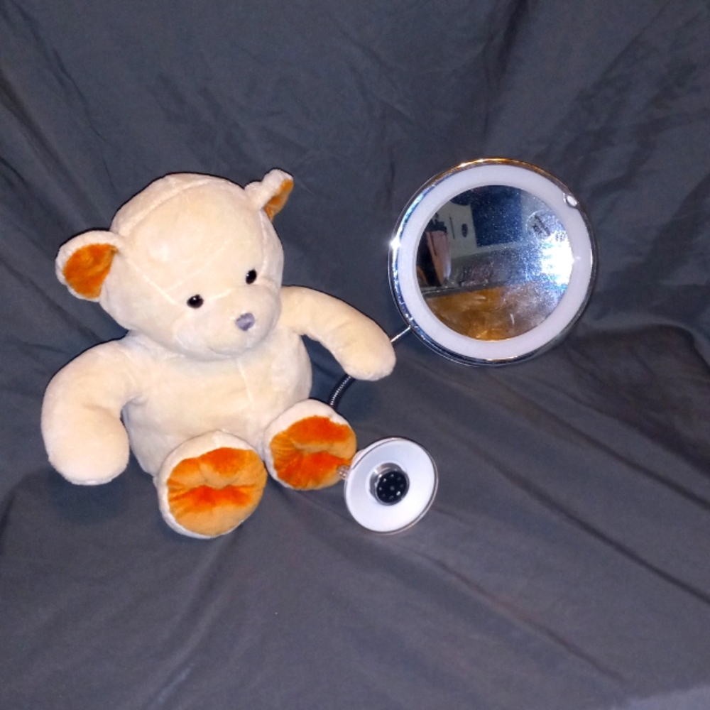 Lighted Shower Mirror